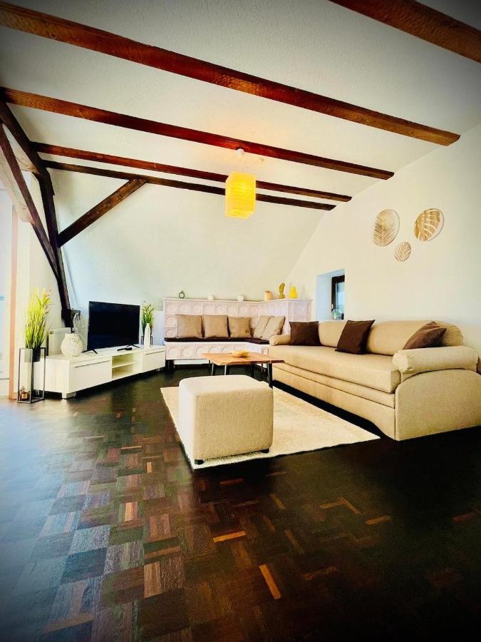Chris & Aris Ferienwohnung Waldshut Zentrum Екстериор снимка
