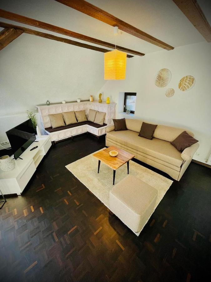 Chris & Aris Ferienwohnung Waldshut Zentrum Екстериор снимка